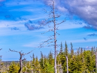 Park Narodowy Gros Morne